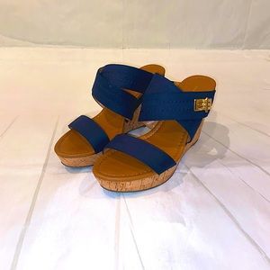 ✨ Tommy Hilfiger Navy Blue Wedges